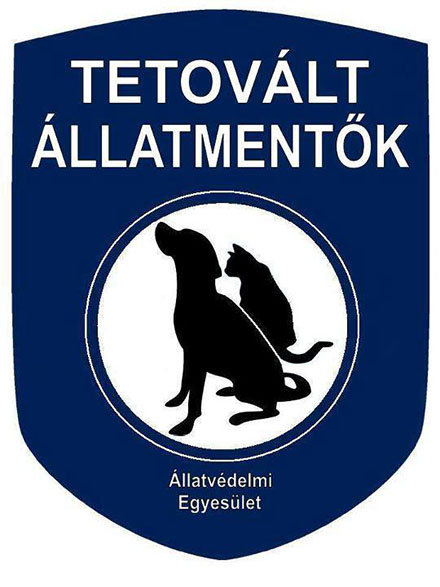Tetovált Állatmentők Állatvédelmi Egyesülete Tetovált Állatmentők Állatvédelmi Egyesülete